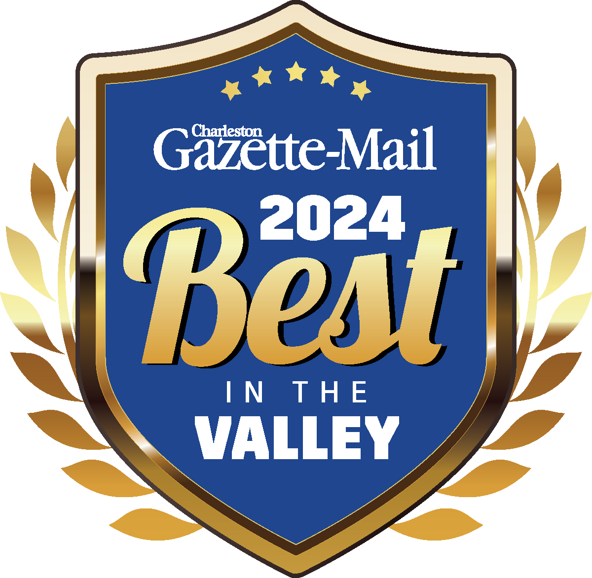 Best cosmetic surgeon 2024